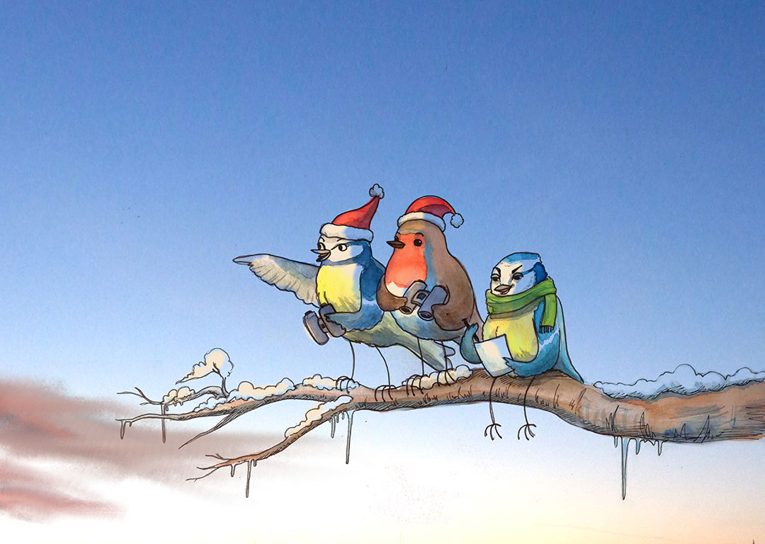 Illustration réalisée pour l'affiche du grand comptage des oiseaux de jaridn 2020